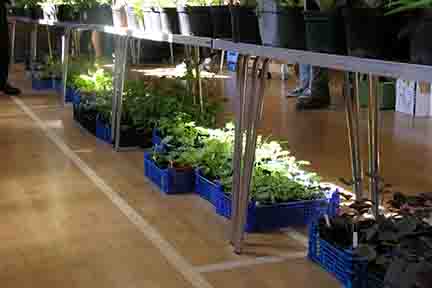 Sale 4